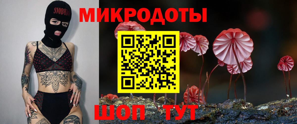 Воронеж  Галлюциногенные грибы Psilocybine cubensis  Вход с VPN 
